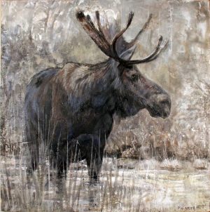 Algonquin_moose_61_08 copy