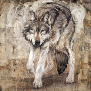 wolf_on_the_prowl_square62_-05_1050 copy