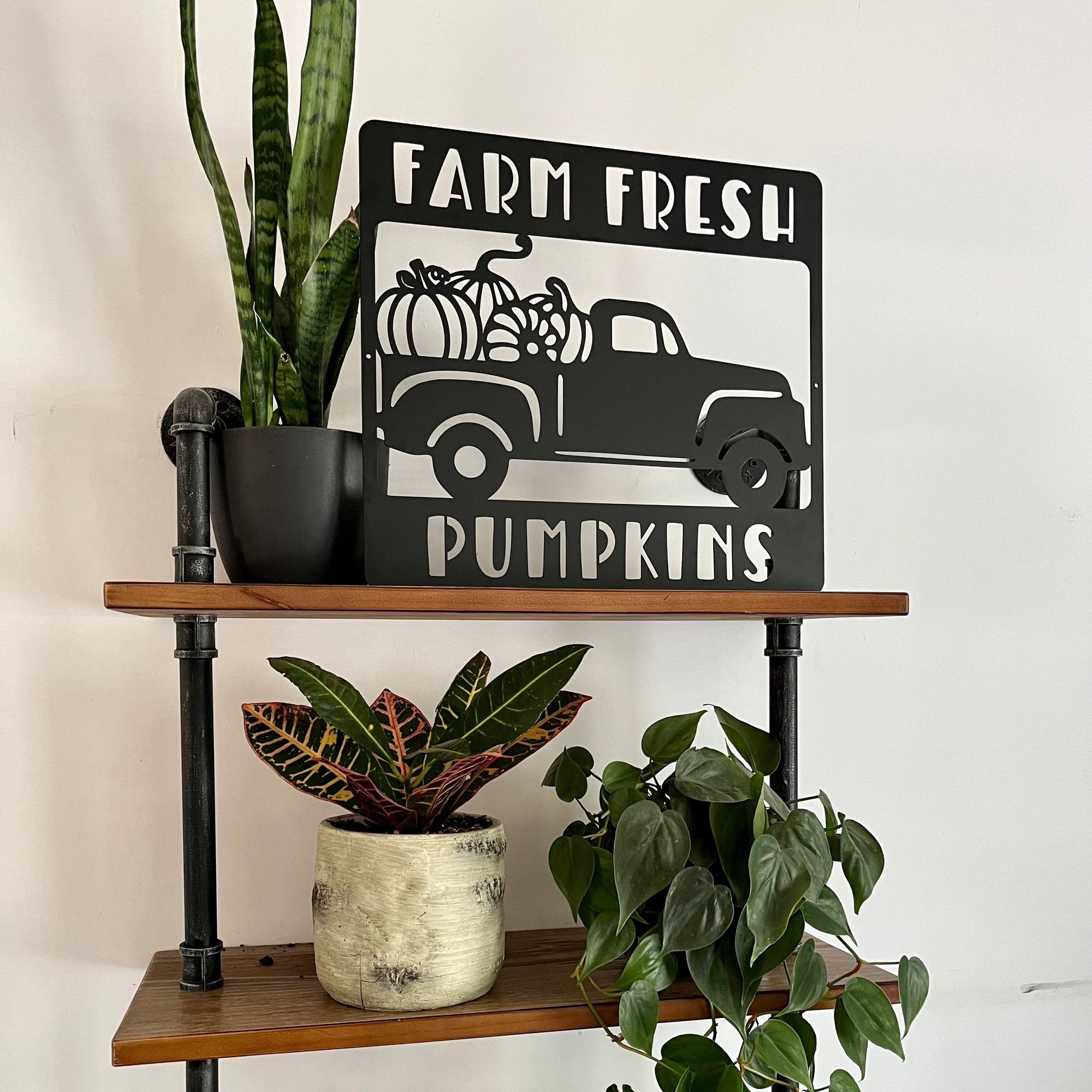FarmFreshPumpkins3.jpg FarmFreshPumpkins3.jpg