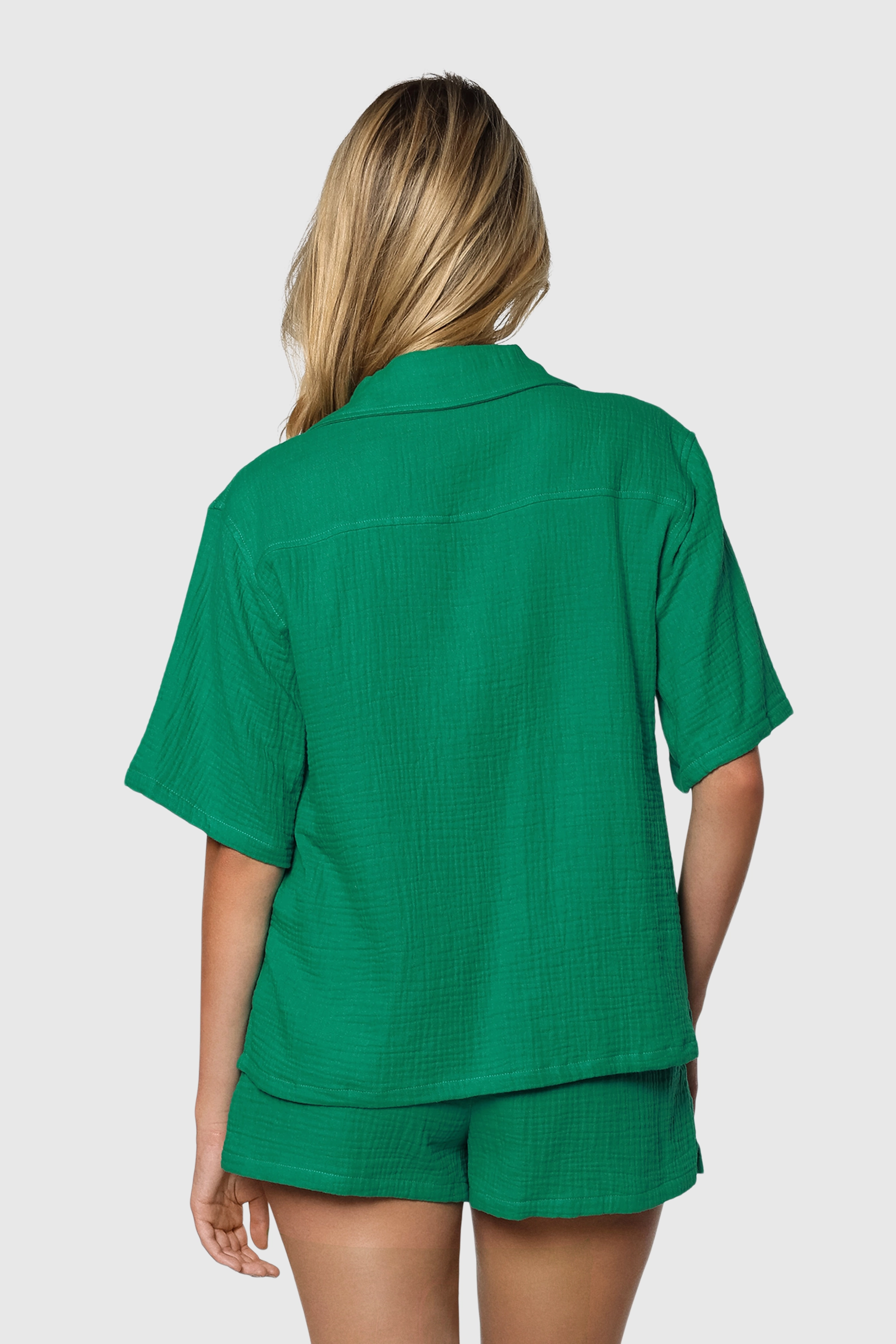 BREEZE-GREEN3.png BREEZE-GREEN3.png