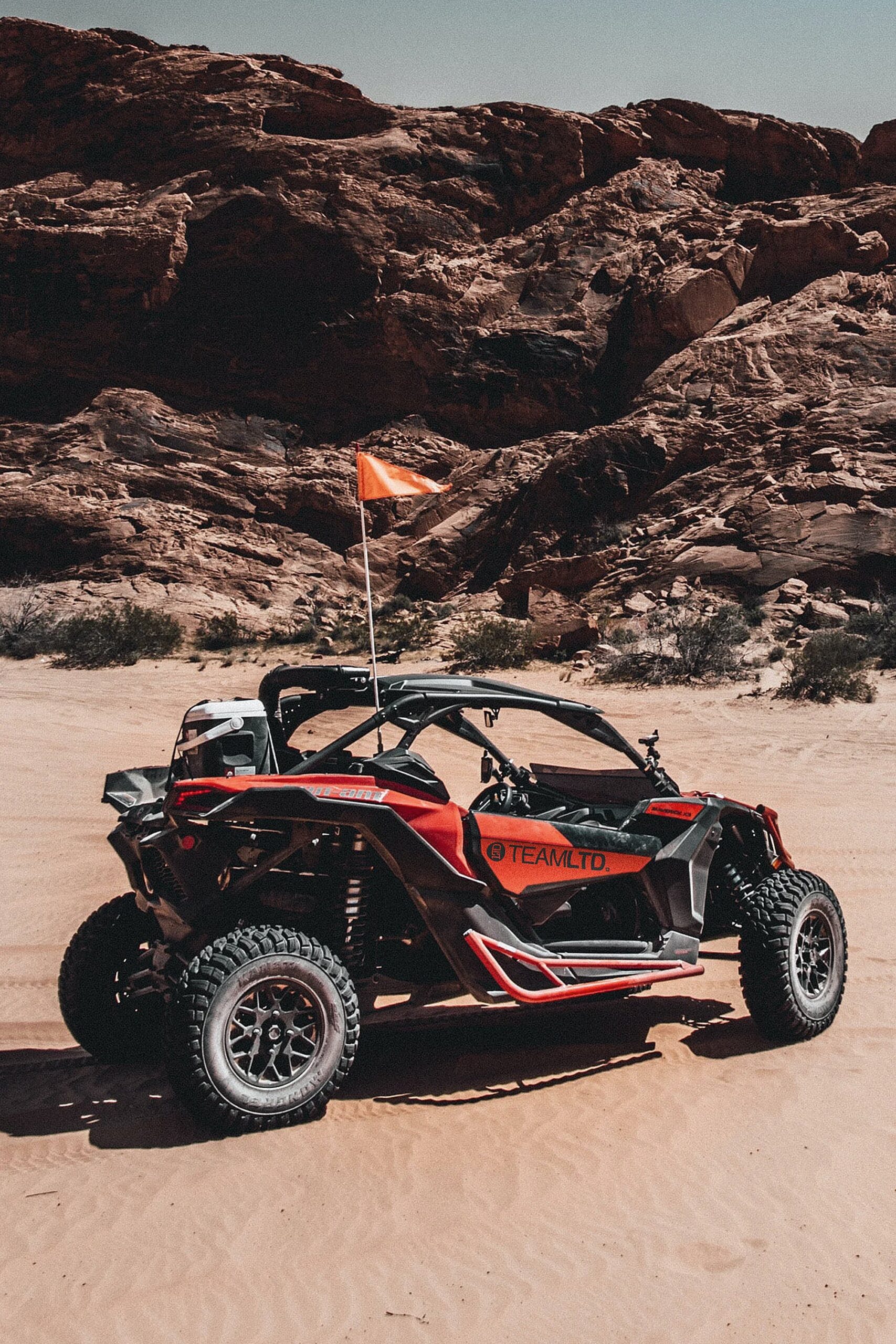 Decal-LargeBlackBuggy.jpg Decal-LargeBlackBuggy.jpg