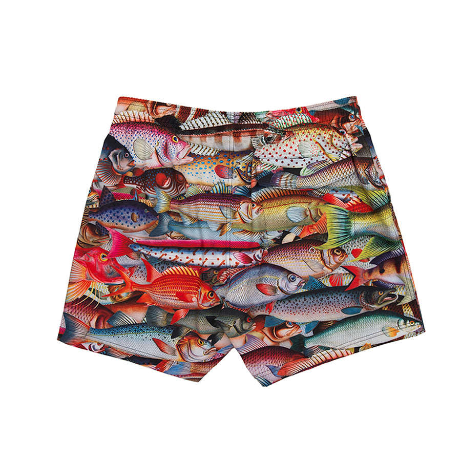 FishSwimShorts2_edd59f3a-81e6-4d84-ab04-153522b188b8.jpg FishSwimShorts2_edd59f3a-81e6-4d84-ab04-153522b188b8.jpg