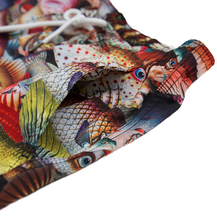 FishSwimShorts4.jpg FishSwimShorts4.jpg