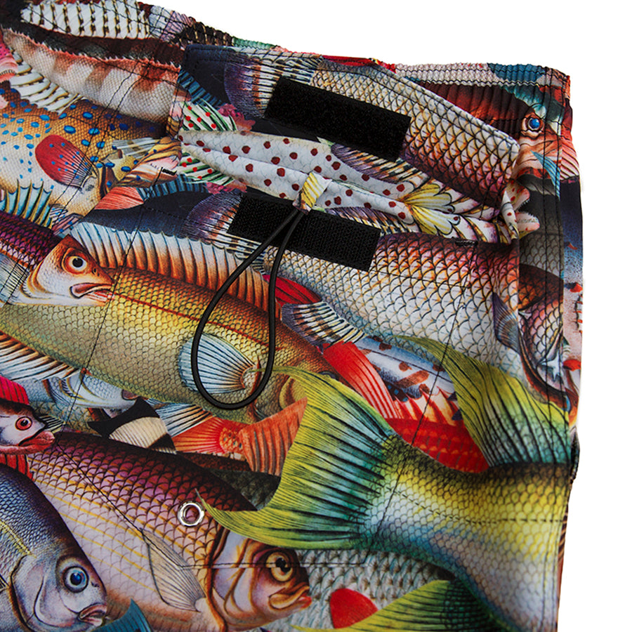 FishSwimShorts5.jpg FishSwimShorts5.jpg
