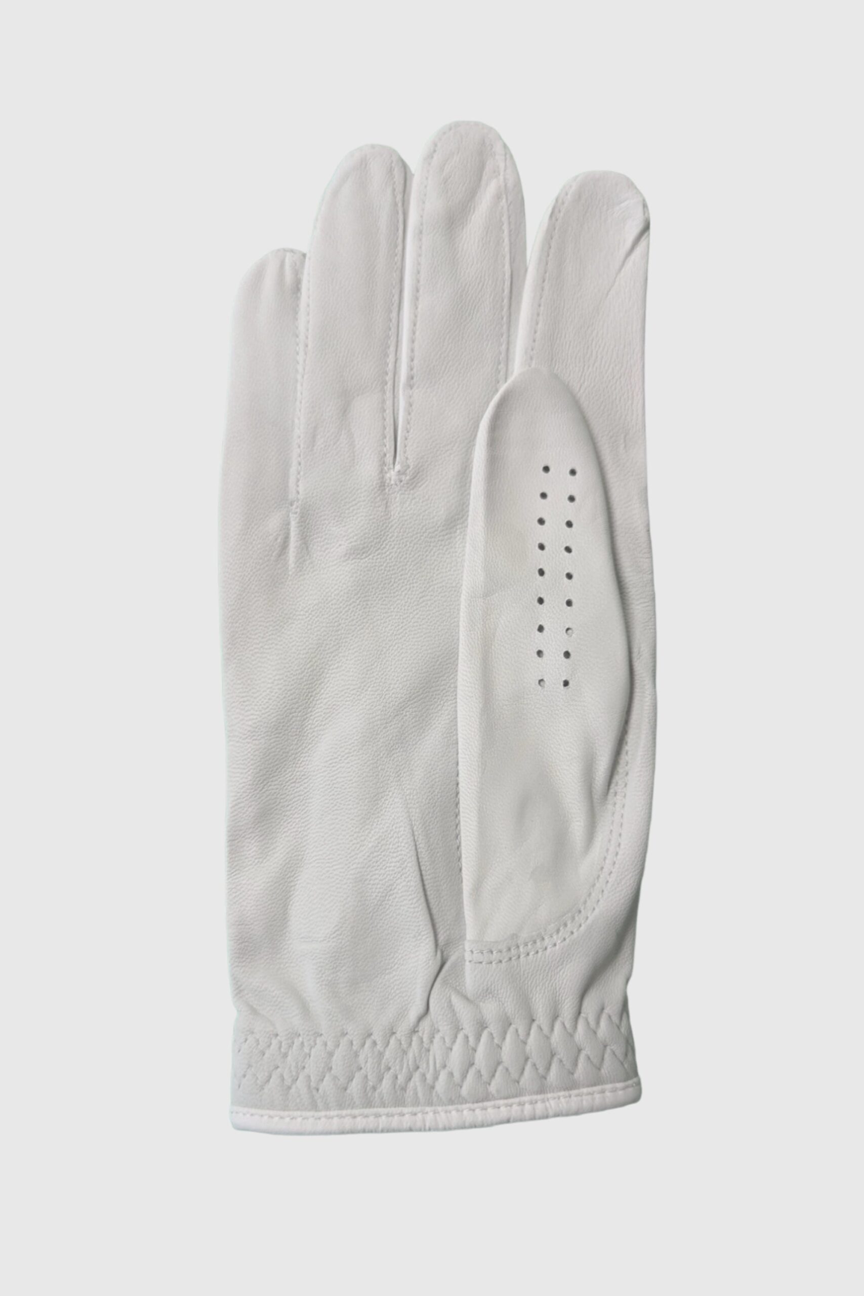 Gloveback.jpg Gloveback.jpg