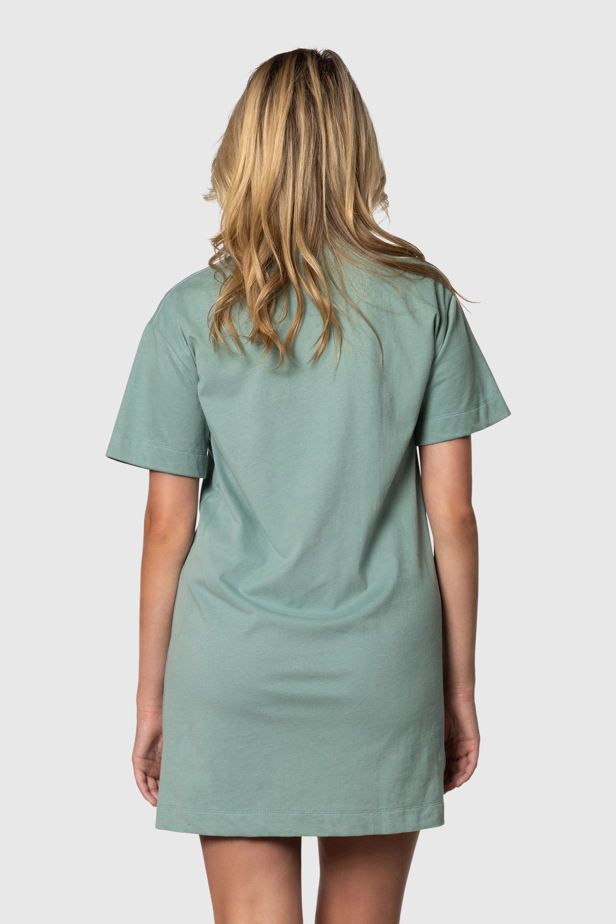 TEE-DRESS-SAGE2.png TEE-DRESS-SAGE2.png